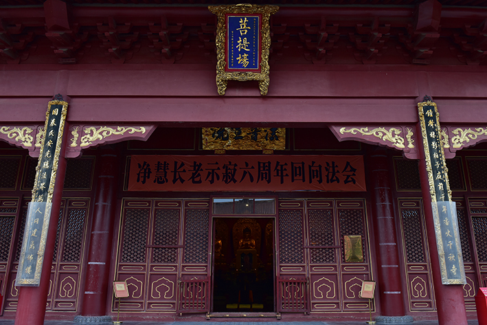 DSC_9537【1】.jpg
